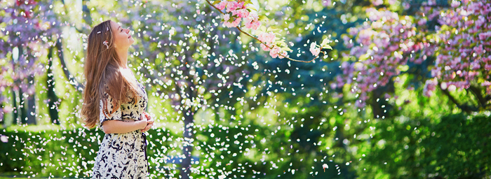 A woman stands under a shower of petals from a flowering tree.