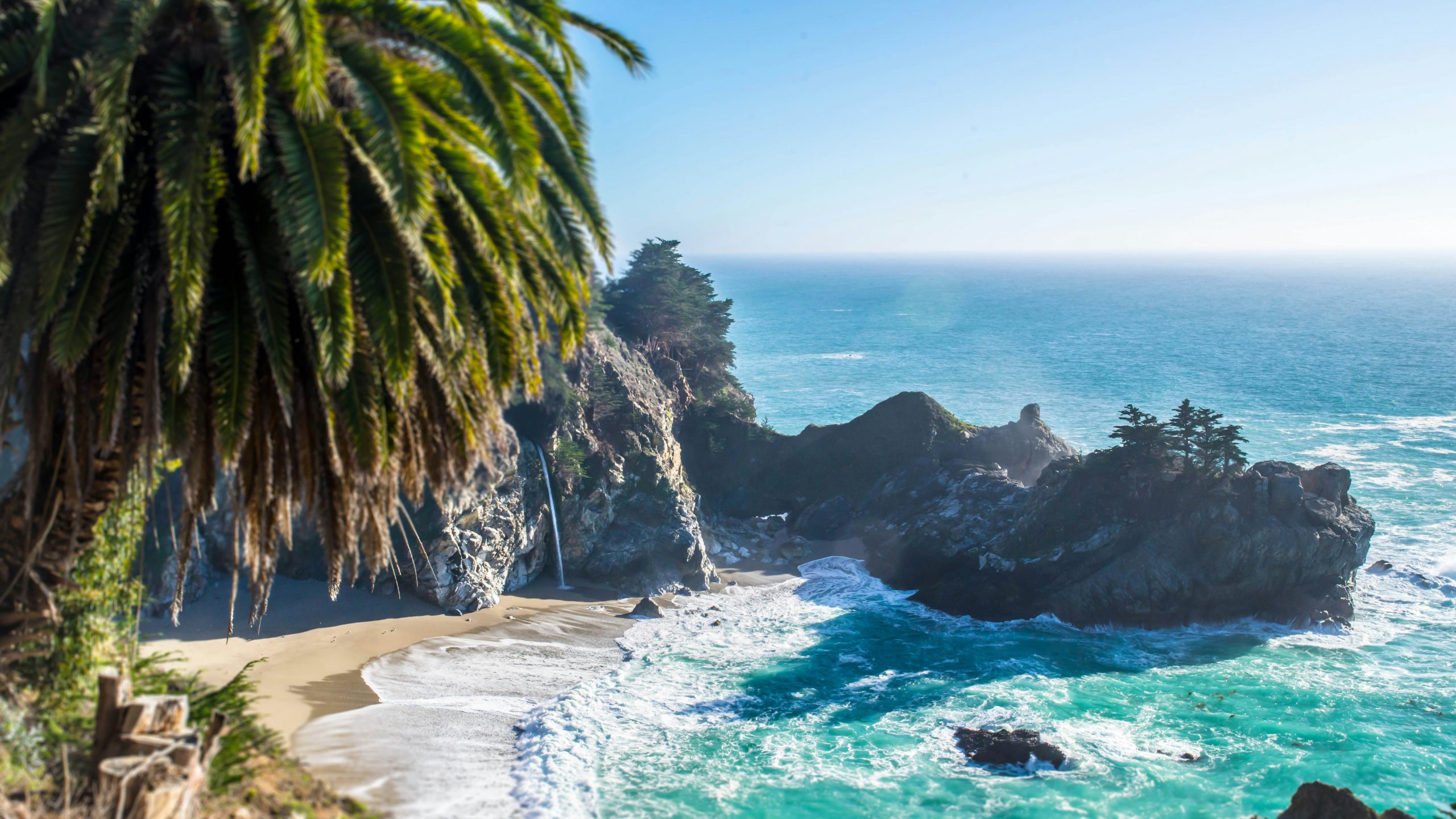A view of a sandy beach with waves crashing against a dramatic rock formation in the background and a luscious, leafy green palm tree in the foreground.