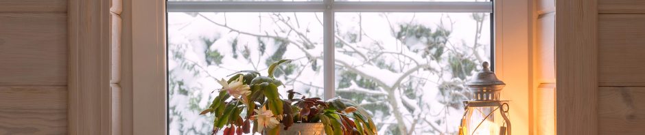 C:\Main Docs\Donna Jodhan\Images