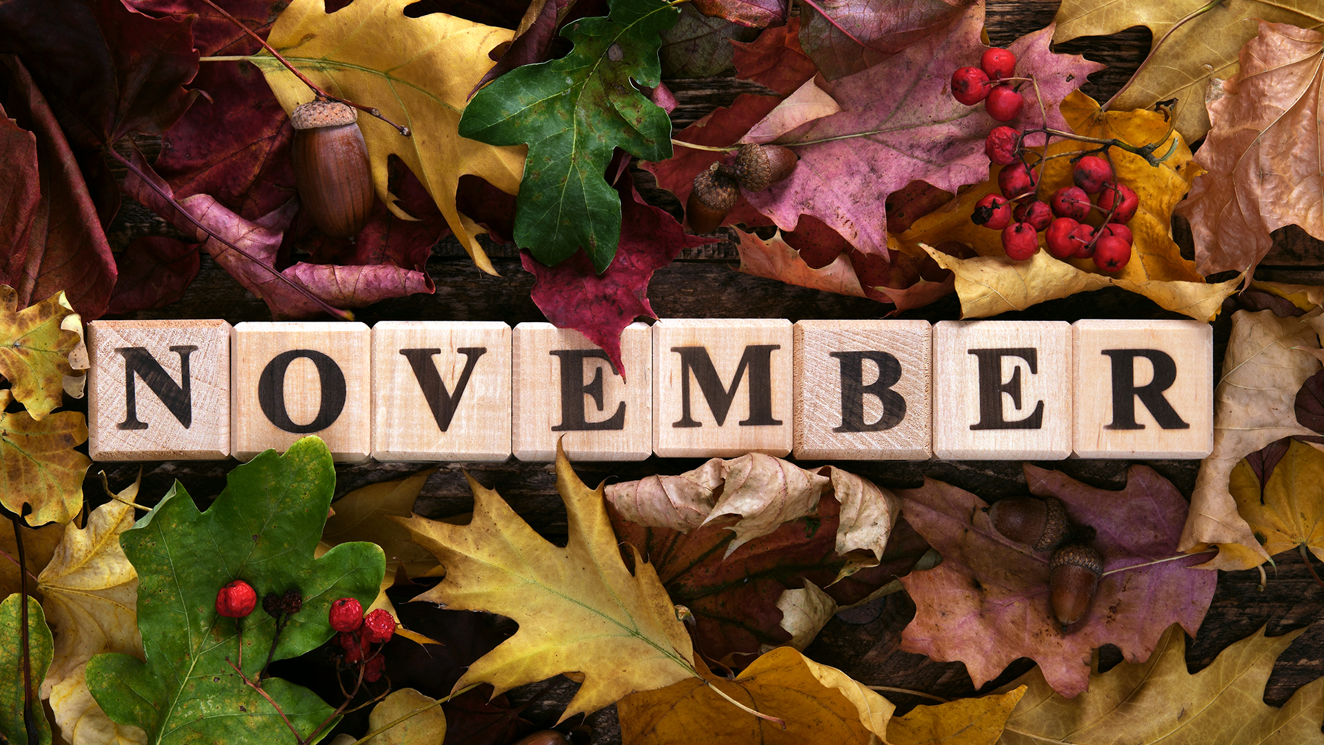 Wooden blocks spell out the word 'November' in bold black letters, surrounded by a mix of colorful autumn leaves in shades of yellow, orange, red, green, and brown, along with scattered acorns and clusters of red berries on a rustic wooden surface.
