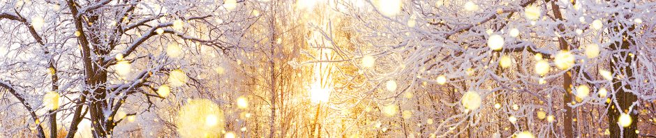 A serene winter forest scene with snow-covered trees and a soft golden sunrise glowing through the branches, casting warm light across the snow. The ground and branches sparkle with frost, and bright golden light spots create a magical, festive atmosphere against the cool white landscape.