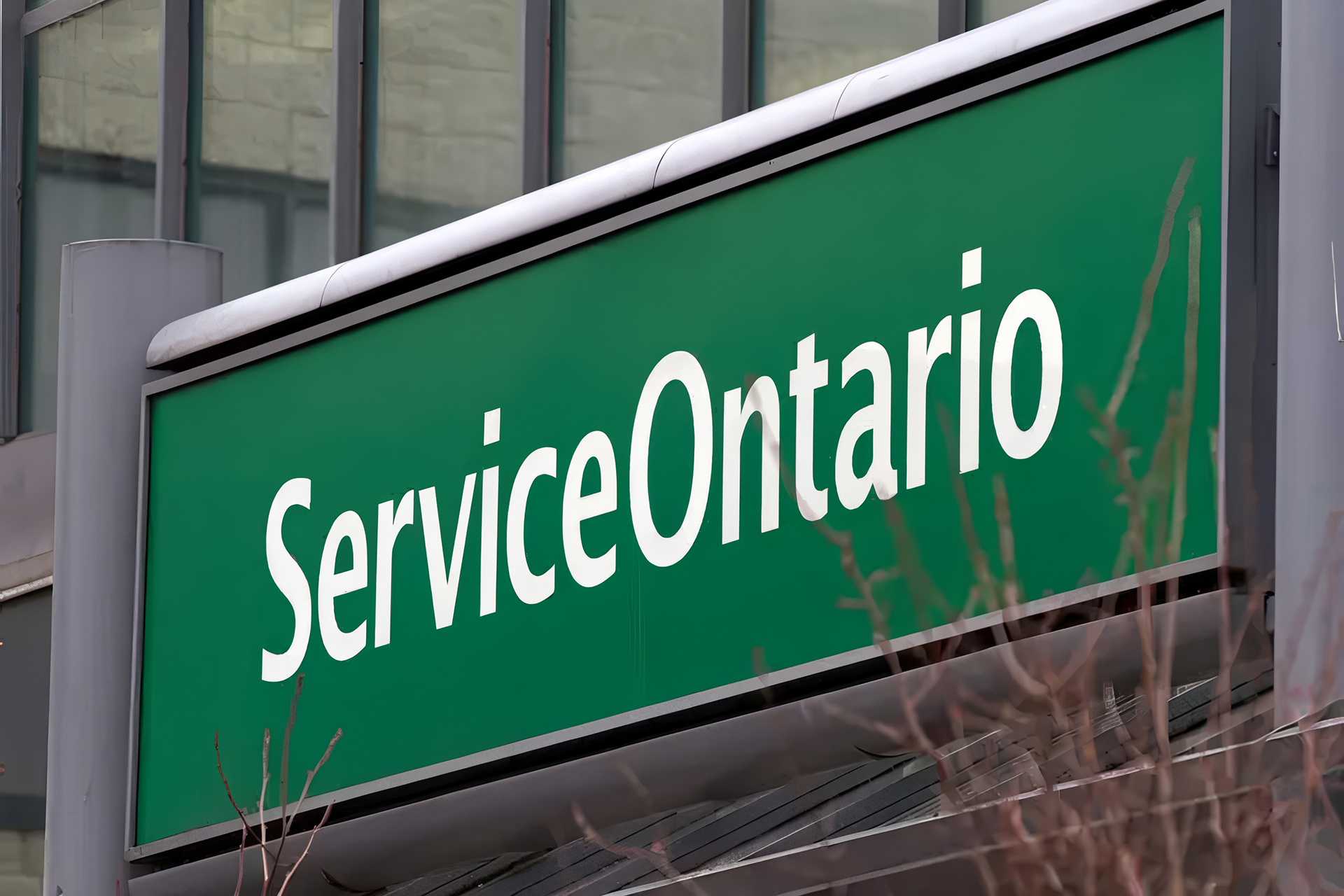 A green rectangular ServiceOntario sign with bold white lettering mounted on the exterior of a modern building, viewed at an angle, with glass windows and gray structural elements in the background and thin, leafless branches partially visible in the foreground.